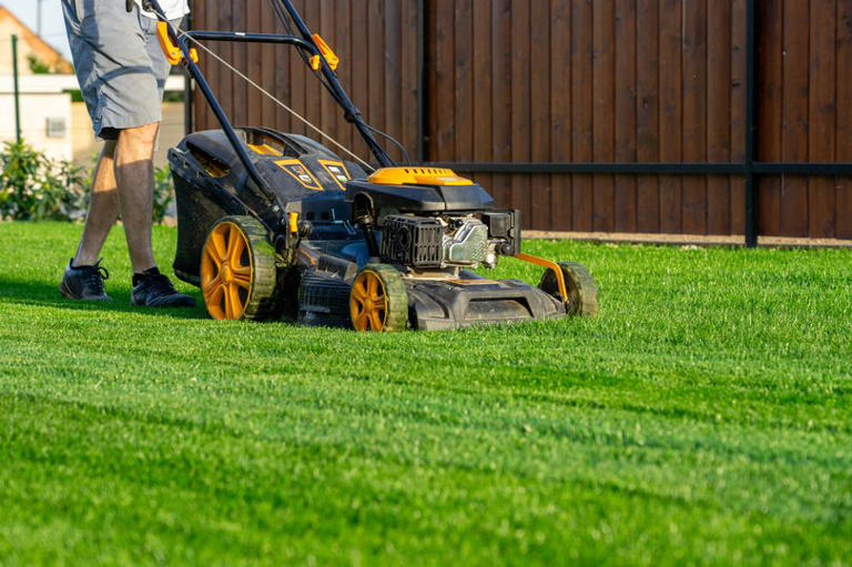 Common Lawn Mistakes that Cost Landlords Money 2 Common Lawn Mistakes that Cost Landlords Money 2