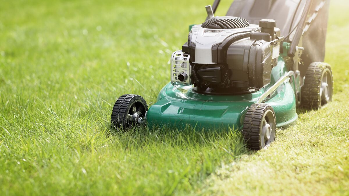 Common Lawn Mistakes that Cost Landlords Money