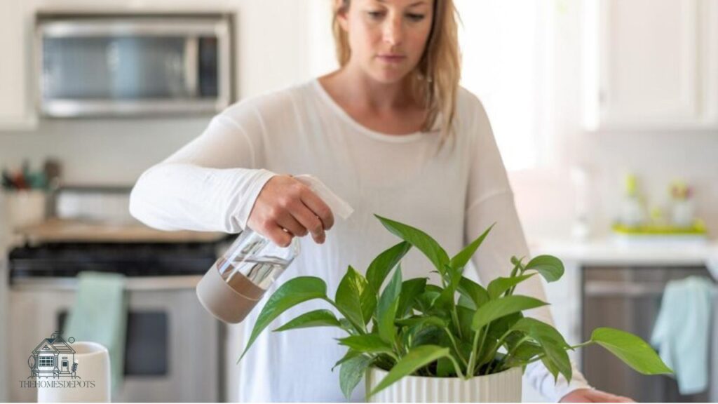 Japa Plant Care Tips - Grow Healthy & Vibrant Blooms 3 Essential Japa Plant Care Tips
